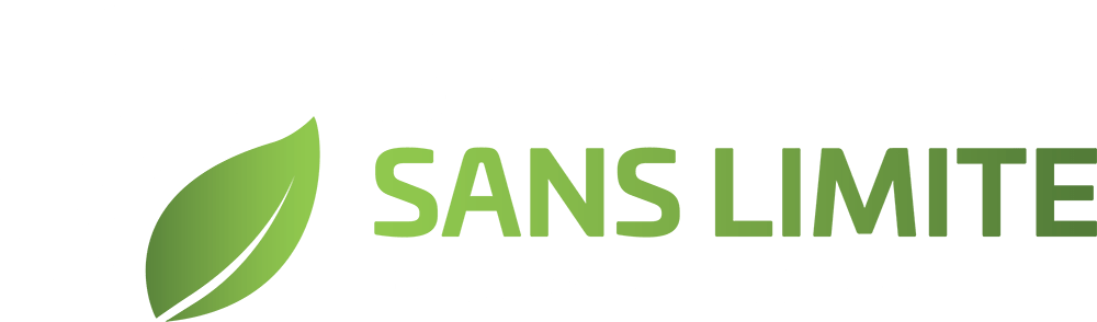 Borne Sherbrooke, Borne Électrique Sherbrooke, Borne recharge Sherbrooke, Borne recharge électrique Sherbrooke, borne de recharge